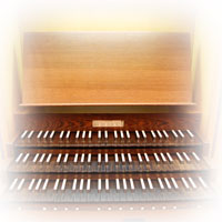 organ